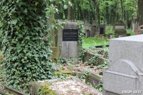 Maks Szenwic's grave at the Jewish cemetery in Łódź (photo: Piotr Dąbrowski)